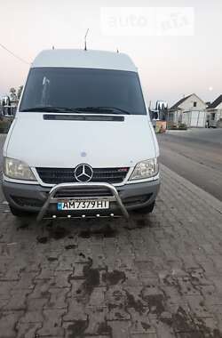 Грузопассажирский фургон Mercedes-Benz Sprinter 2006 в Житомире