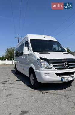 Мікроавтобус Mercedes-Benz Sprinter 2009 в Чернівцях