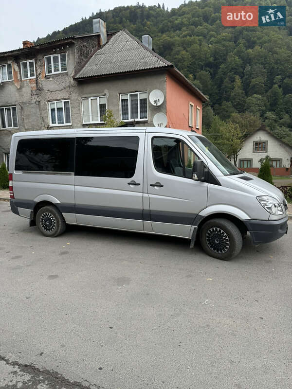 Микроавтобус Mercedes-Benz Sprinter 2009 в Тячеве