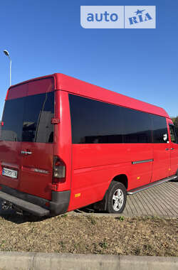 Микроавтобус Mercedes-Benz Sprinter 2006 в Тячеве