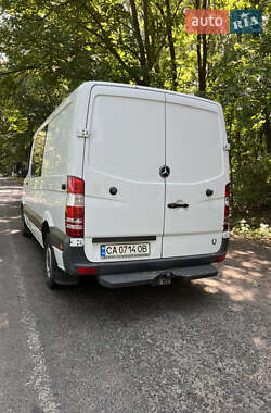 Микроавтобус Mercedes-Benz Sprinter 2007 в Христиновке