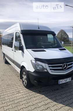 Микроавтобус Mercedes-Benz Sprinter 2009 в Тячеве