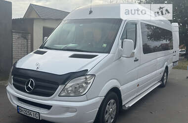 Микроавтобус Mercedes-Benz Sprinter 2010 в Измаиле