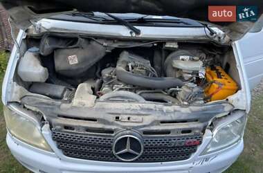 Микроавтобус Mercedes-Benz Sprinter 2006 в 