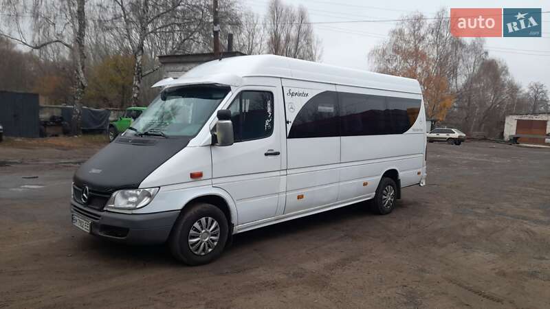 Микроавтобус Mercedes-Benz Sprinter 2000 в 