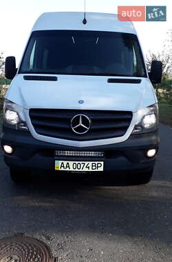 Вантажопасажирський фургон Mercedes-Benz Sprinter 2013 в Києві