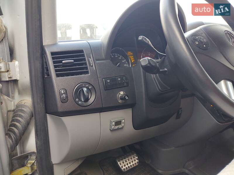 Другие автобусы Mercedes-Benz Sprinter 2010 в Днепре