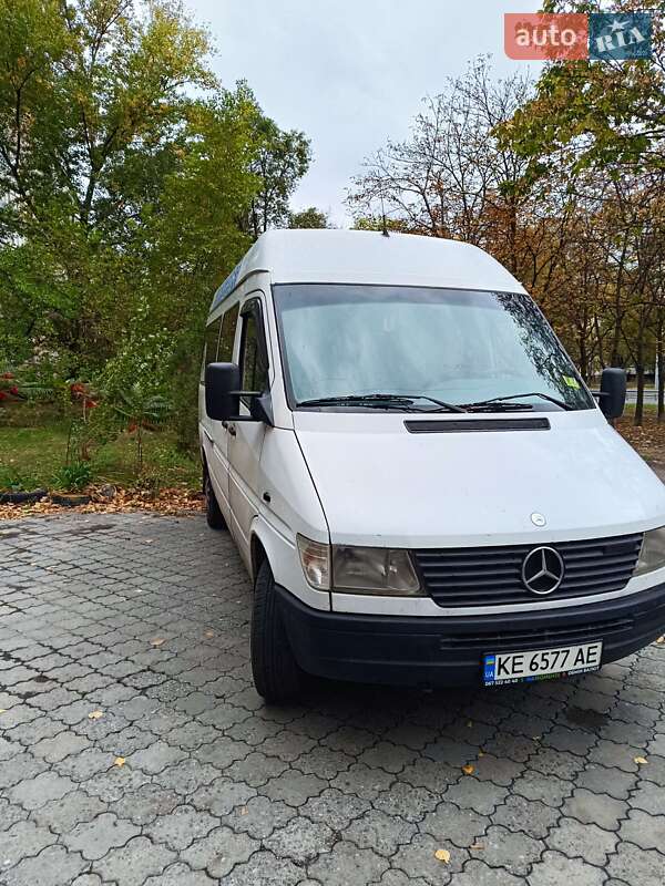 Грузопассажирский фургон Mercedes-Benz Sprinter 1995 в Днепре