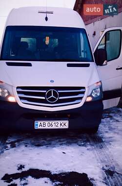 Микроавтобус Mercedes-Benz Sprinter 2013 в Калиновке