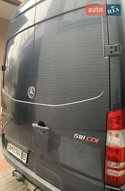 Другие автобусы Mercedes-Benz Sprinter 2007 в Житомире