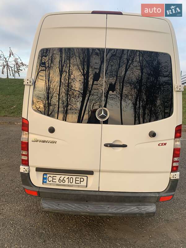 Микроавтобус Mercedes-Benz Sprinter 2010 в Черновцах