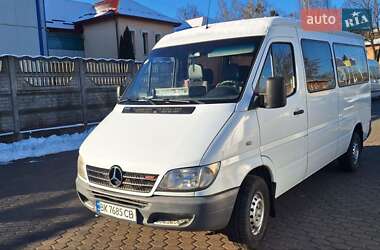 Микроавтобус Mercedes-Benz Sprinter 2006 в Костополе