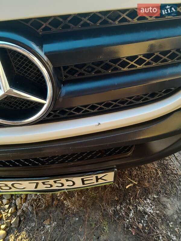 Микроавтобус Mercedes-Benz Sprinter 2009 в Каменке
