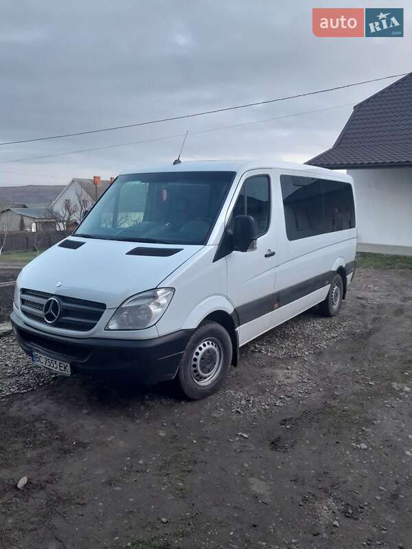 Микроавтобус Mercedes-Benz Sprinter 2009 в Каменке
