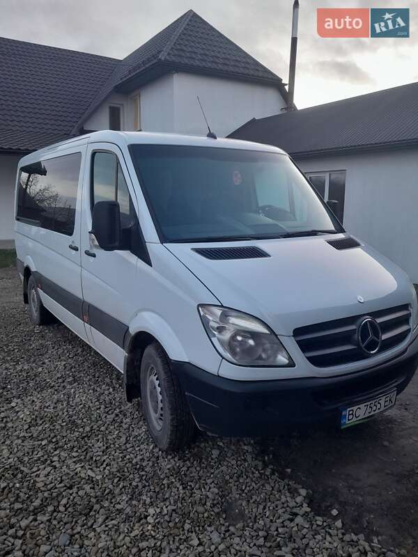 Микроавтобус Mercedes-Benz Sprinter 2009 в Каменке