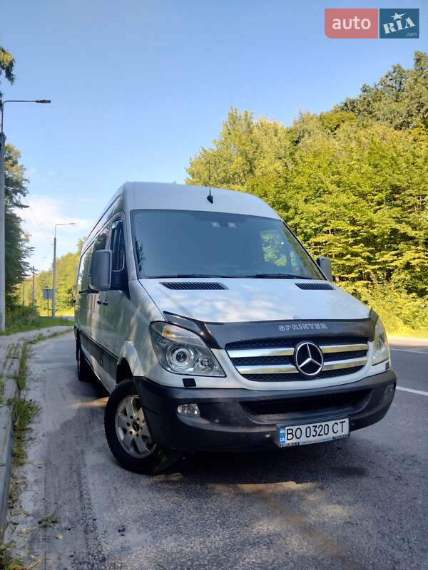 Мікроавтобус Mercedes-Benz Sprinter 2010 в Кременці