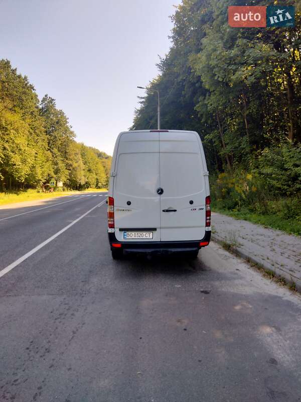 Мікроавтобус Mercedes-Benz Sprinter 2010 в Кременці