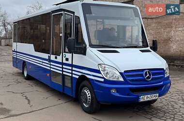 Городской автобус Mercedes-Benz Sprinter 2013 в Кривом Роге