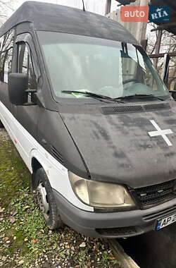 Микроавтобус Mercedes-Benz Sprinter 2003 в Запорожье