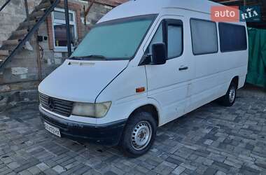 Інші вантажівки Mercedes-Benz Sprinter 1995 в Дніпрі