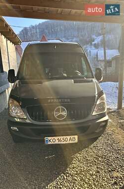 Мікроавтобус Mercedes-Benz Sprinter 2010 в Тячеві