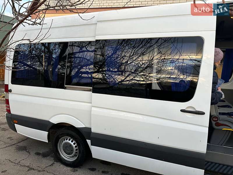 Микроавтобус Mercedes-Benz Sprinter 2013 в Днепре