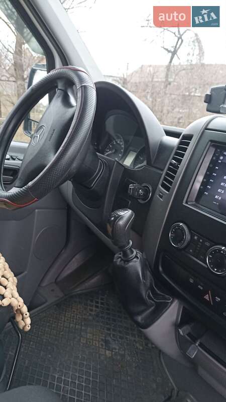 Мікроавтобус Mercedes-Benz Sprinter 2013 в Кривому Озері