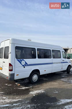 Мікроавтобус Mercedes-Benz Sprinter 2003 в Дніпрі