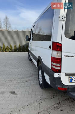 Микроавтобус Mercedes-Benz Sprinter 2010 в Черновцах