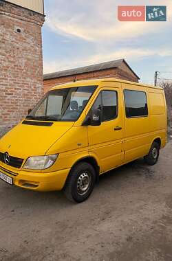 Грузопассажирский фургон Mercedes-Benz Sprinter 2004 в Белой Церкви