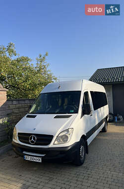 Микроавтобус Mercedes-Benz Sprinter 2010 в 