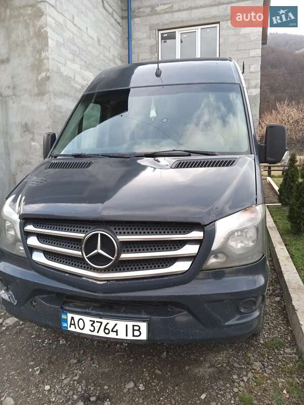 Микроавтобус Mercedes-Benz Sprinter 2009 в Межгорье
