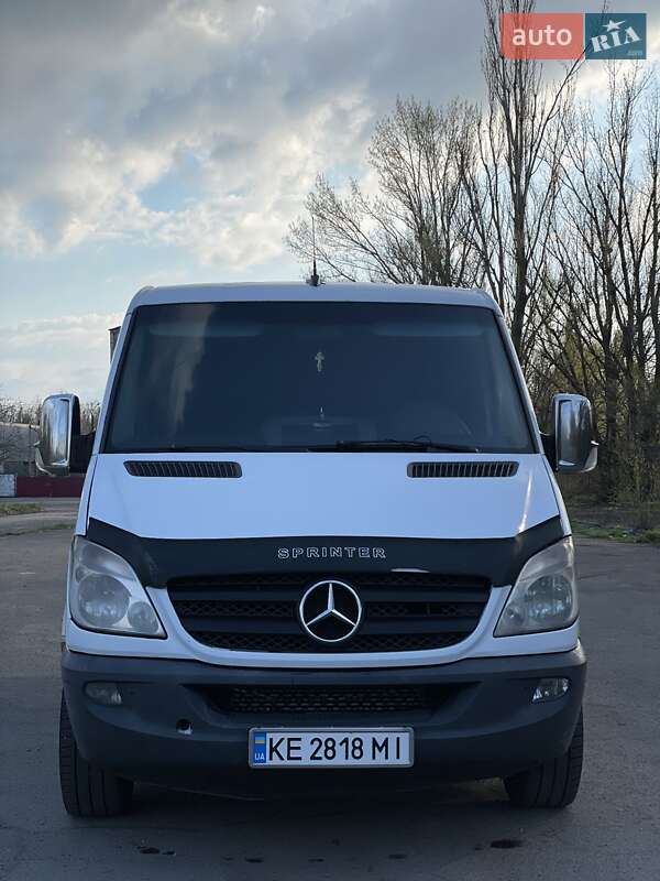 Микроавтобус Mercedes-Benz Sprinter 2008 в Кривом Роге