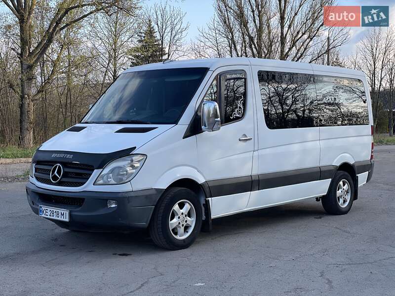 Микроавтобус Mercedes-Benz Sprinter 2008 в Кривом Роге