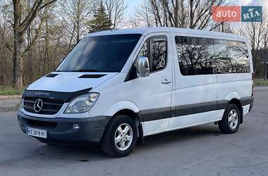 Микроавтобус Mercedes-Benz Sprinter 2008 в 