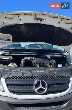 Туристичний / Міжміський автобус Mercedes-Benz Sprinter 2012 в 