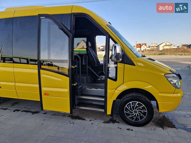 Микроавтобус Mercedes-Benz Sprinter 2013 в Мельнице-Подольской