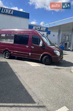 Микроавтобус Mercedes-Benz Sprinter 2010 в 