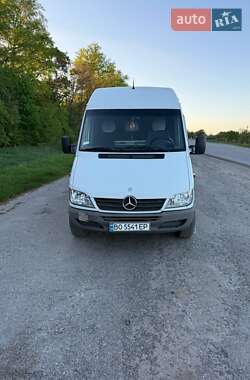 Грузовой фургон Mercedes-Benz Sprinter 2004 в Тернополе