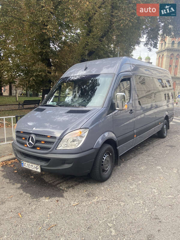 Микроавтобус Mercedes-Benz Sprinter 2008 в 