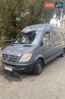 Микроавтобус Mercedes-Benz Sprinter 2008 в 