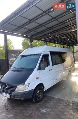 Мікроавтобус Mercedes-Benz Sprinter 2000 в Лубнах