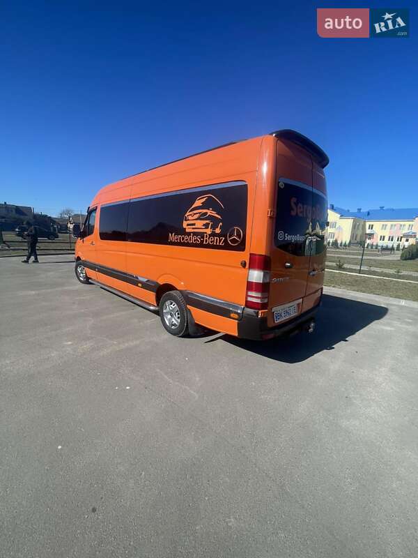 Мікроавтобус Mercedes-Benz Sprinter 2008 в Березному