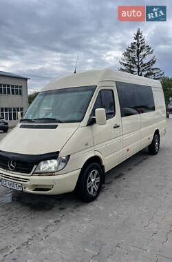 Мікроавтобус Mercedes-Benz Sprinter 2002 в Чернівцях