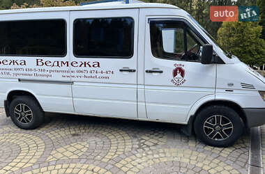 Микроавтобус Mercedes-Benz Sprinter 2005 в Славском