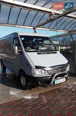 Микроавтобус Mercedes-Benz Sprinter 2006 в Запорожье