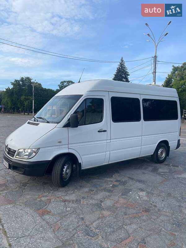 Микроавтобус Mercedes-Benz Sprinter 2004 в Кременчуге