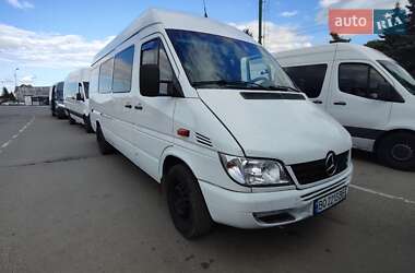 Микроавтобус Mercedes-Benz Sprinter 2006 в Тернополе