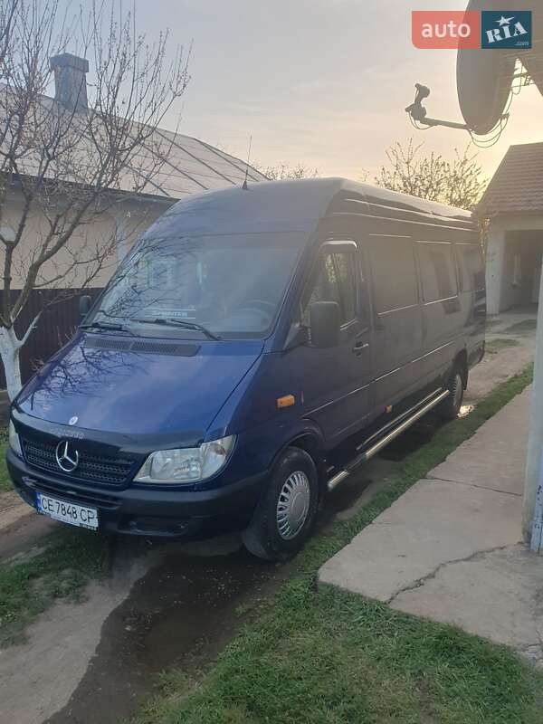 Микроавтобус Mercedes-Benz Sprinter 2004 в Снятине