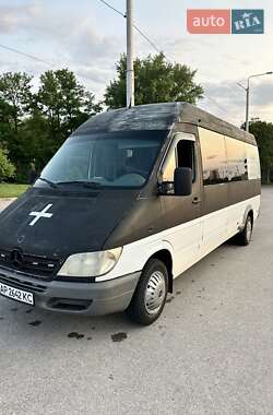 Микроавтобус Mercedes-Benz Sprinter 2003 в Запорожье
